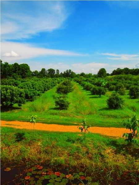 Therdthai Farm Boutique Hotel Sukhothai Exterior foto